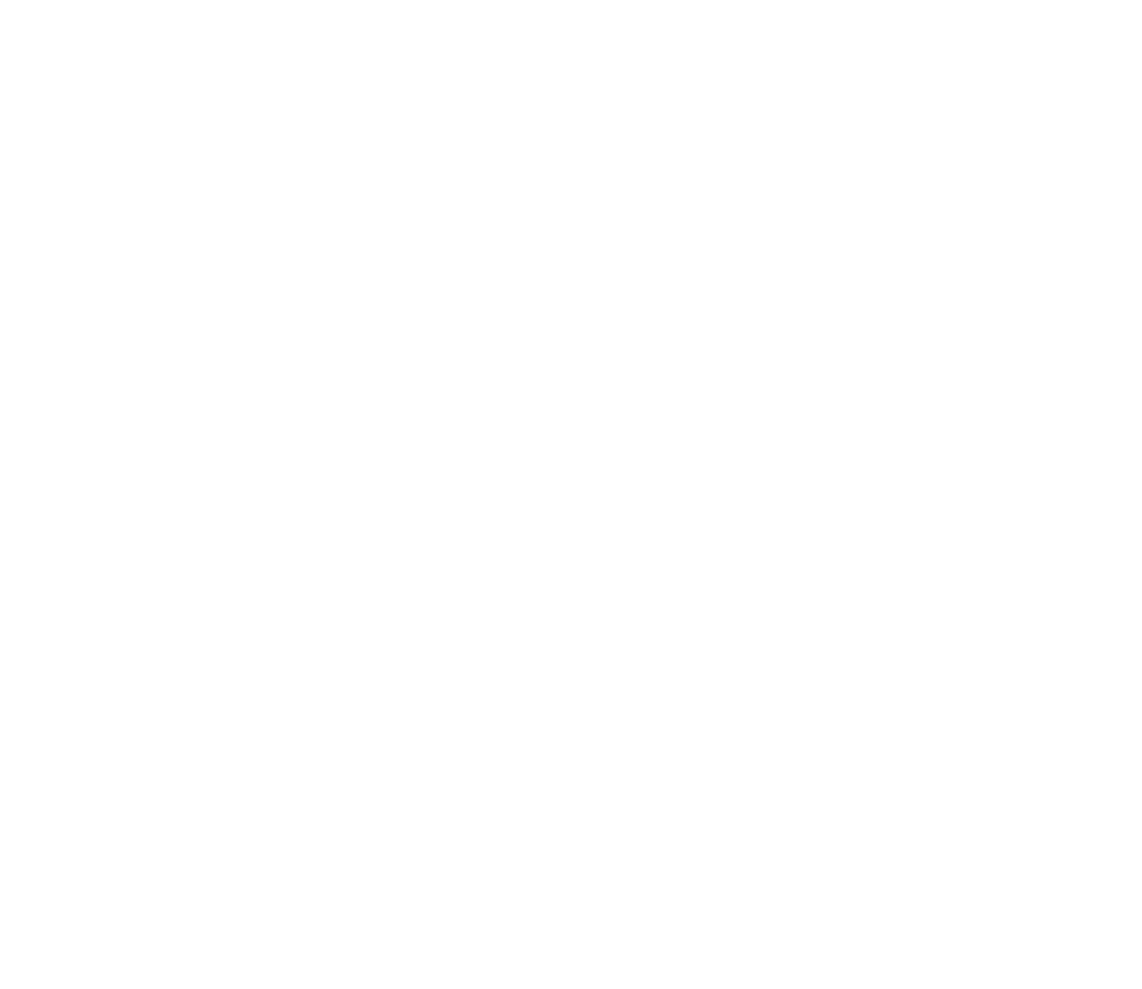 Logo Lech Zuers